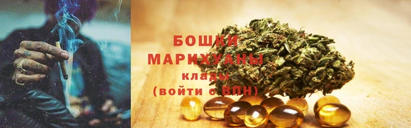 PSILOCYBIN Абдулино