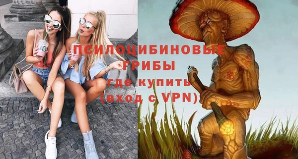 винт Алексин