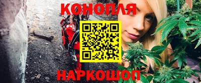 бошки Сланцы